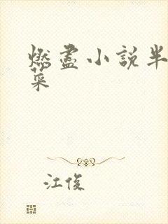 燃尽小说半截白菜