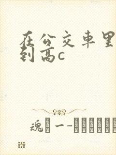 在公交车里c弄到高c