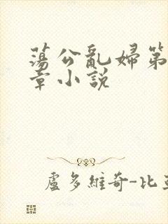 荡公乱妇第51章小说