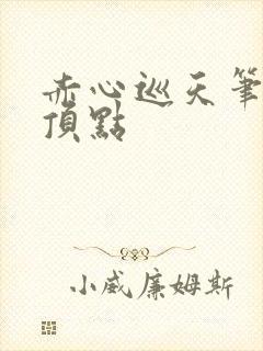 赤心巡天笔趣阁顶点