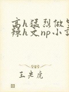 高h猛烈做哭高辣h文np小说