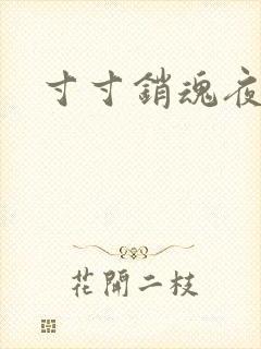 寸寸销魂夜春光