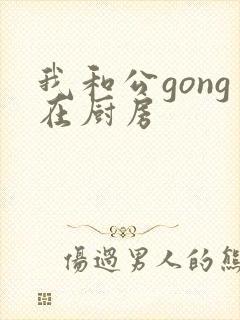 我和公gong在厨房