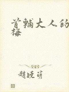 首辅大人的小青梅