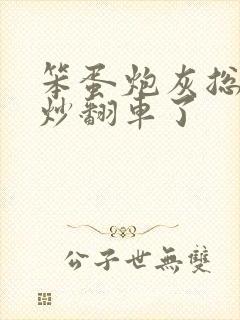 笨蛋炮灰总被爆炒翻车了