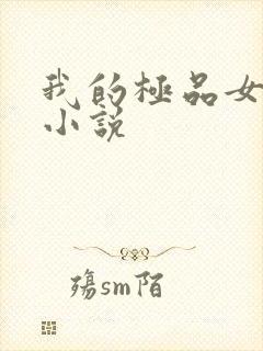 我的极品女老师小说