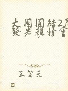 大团圆结2闪闪发光亲情会