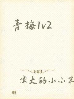 青梅1v2