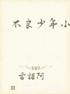 不良少年小说