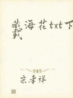 藏海花txt下载