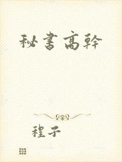 秘书高干