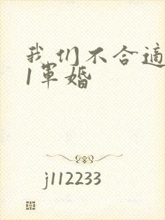 我们不合适1v1军婚