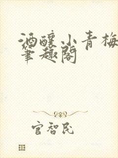 酒酿小青梅po笔趣阁