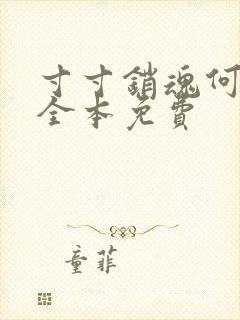 寸寸销魂何生祥全本免费