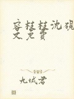 容枝枝沈砚书全文免费