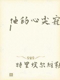 他的心尖宠1v1