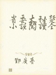 省委大秘楚东恒小说阅读全文