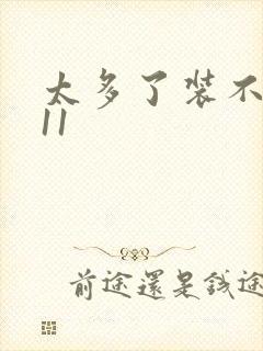 太多了装不下H11