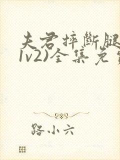 夫君摔断腿后(1v2)全集免费阅读