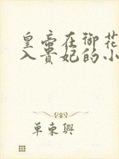 皇帝在御花园进入贵妃的小说