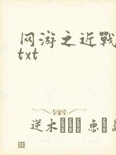网游之近战法师txt