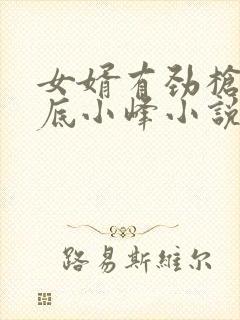 女婿有劲枪枪到底小峰小说