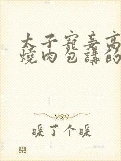 太子宠妾高肉红烧肉包讲的什么