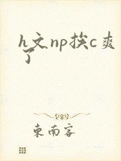 h文np挨c爽了