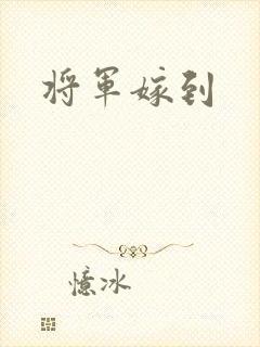将军嫁到