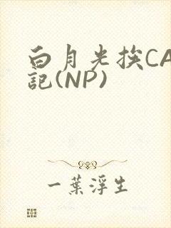 白月光挨CAO记(NP)