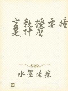 言教授要撞坏了是什么