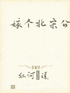 嫁个北宋公务员