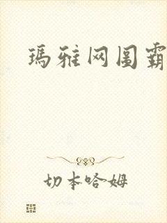 玛雅网图霸天下