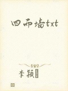 四面墙txt