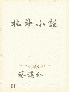 北斗小说