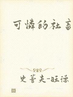 可怜的社畜小说