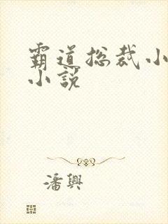 霸道总裁小娇妻小说