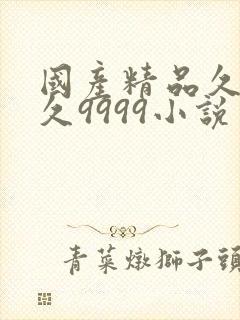 国产精品久久久久9999小说