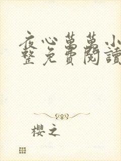 夜心万万小说完整免费阅读全文