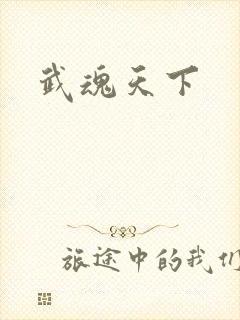 武魂天下