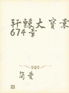 轩辕大宝袁雪妃674章