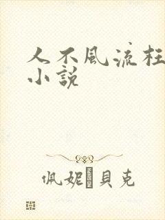 人不风流枉少年小说
