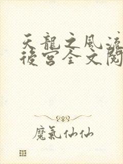 天龙之风流猎艳后宫全文阅读