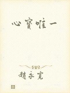 心宝唯一