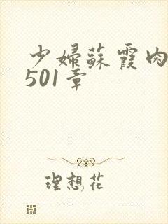 少妇苏霞肉欲第501章