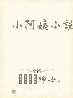 小阿姨小说