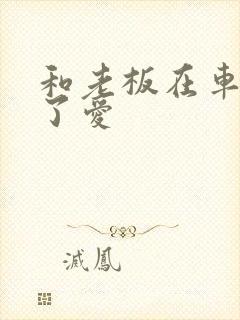 和老板在车里做了爱