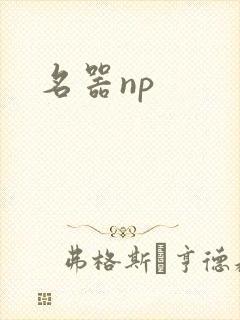 名器np