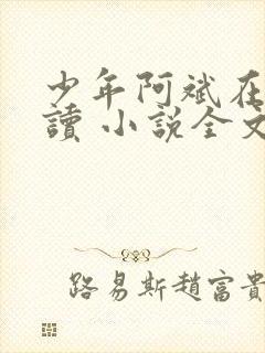 少年阿斌在线阅读 小说全文免费