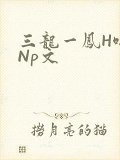 三龙一凤H啪肉Np文